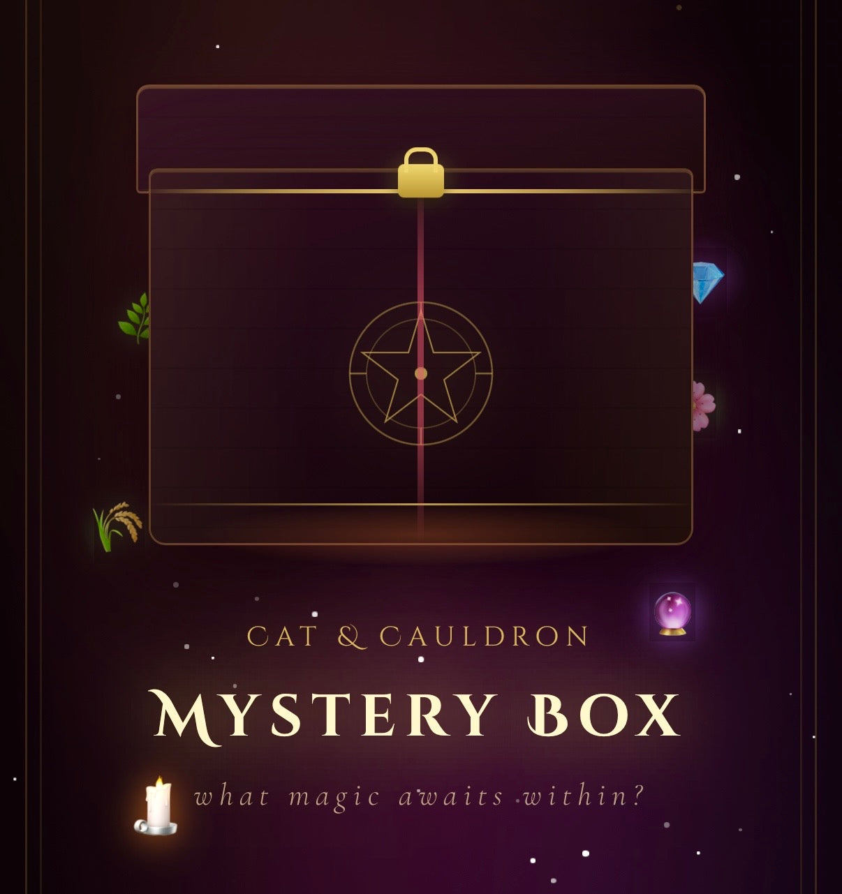 Mystery Box - Selection of items from the store