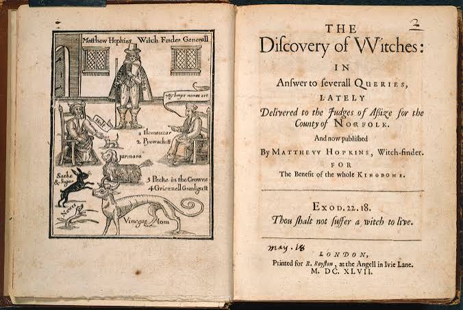 Familiar vs Pet: What's the Difference in Witchcraft
