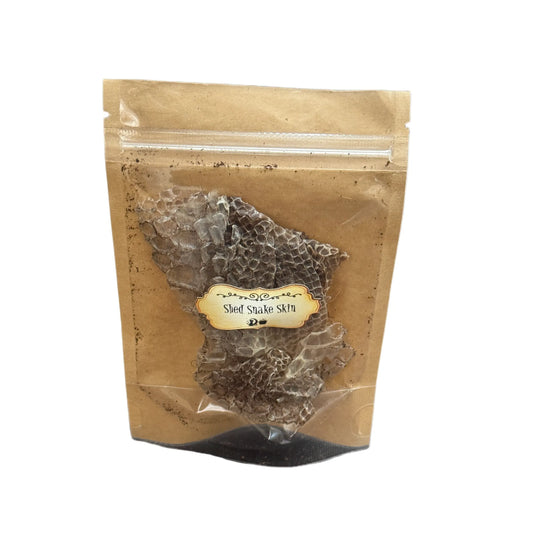 Snake's Skin Shed My Store